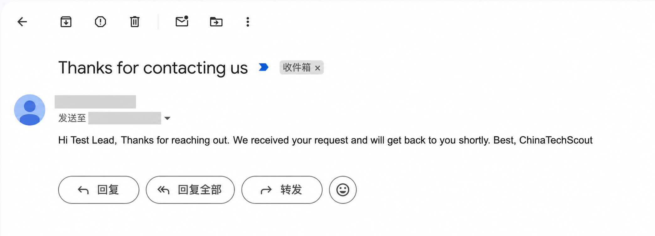 Privacy-redacted Gmail confirmation delivered to a synthetic test lead